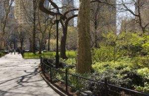 park-new-york-city-nyc-manhattan-162024