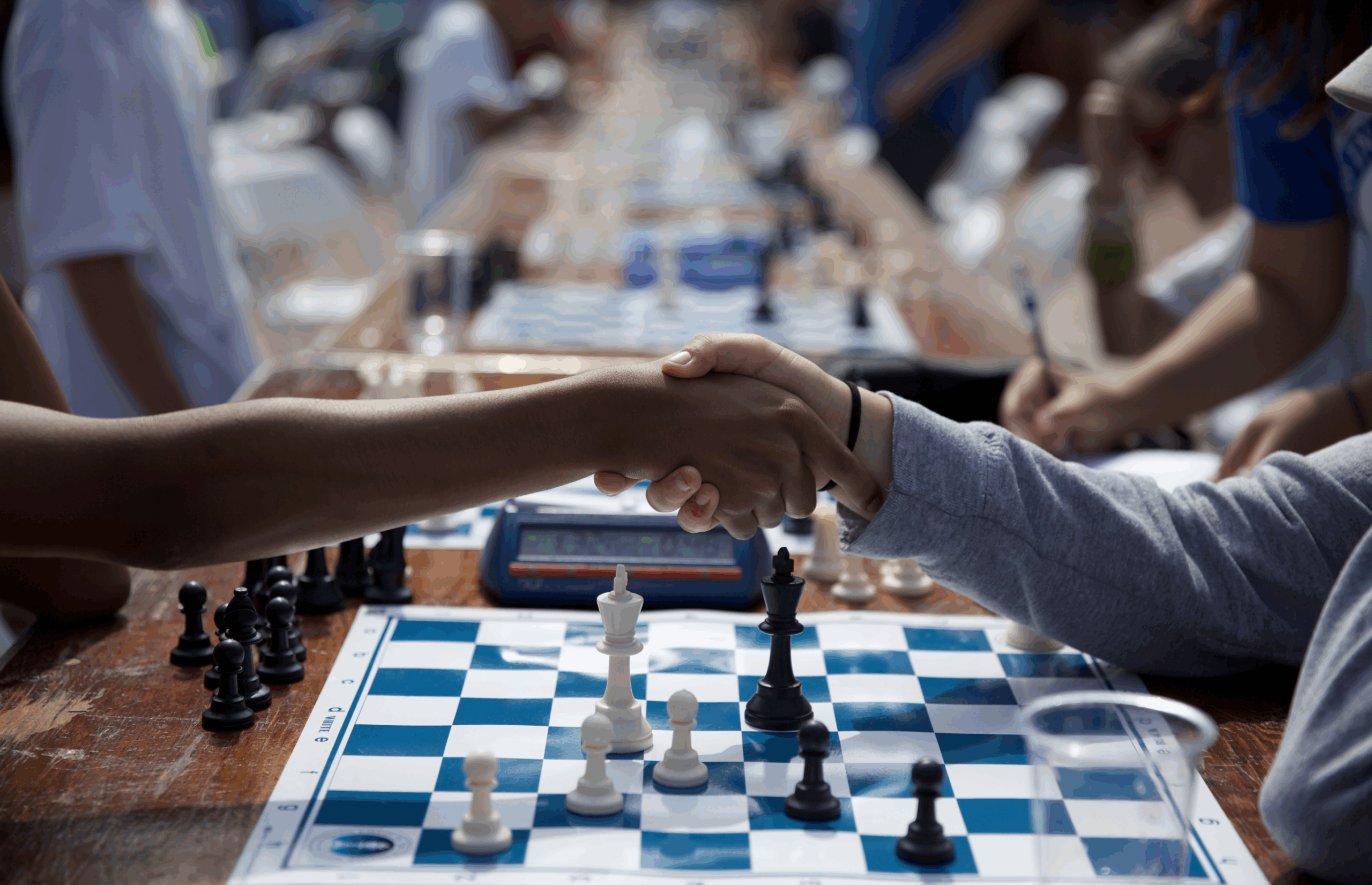 Chess in the Schools